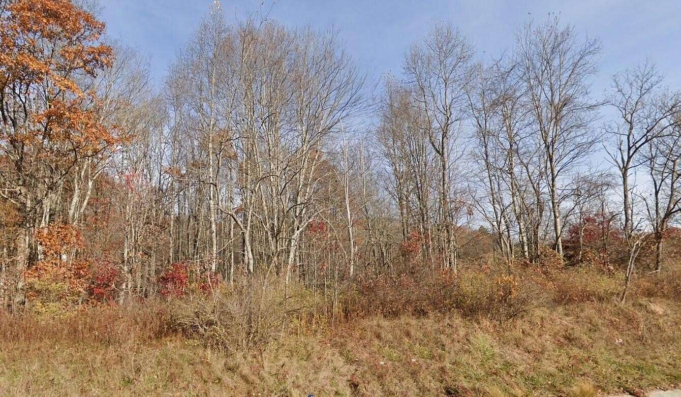 33.3 Acres of Recreational Land for Sale in Meadow Bridge, West Virginia