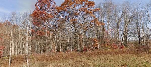 33.3 Acres of Recreational Land for Sale in Meadow Bridge, West Virginia
