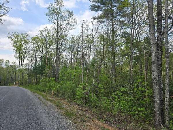 1.5 Acres of Land for Sale in Blairsville, Georgia