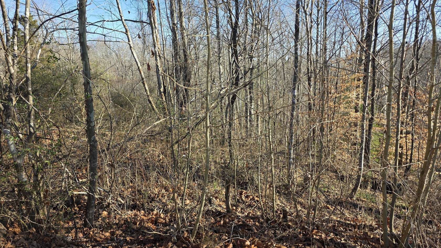 3.27 Acres of Recreational Land for Sale in Revelo, Kentucky