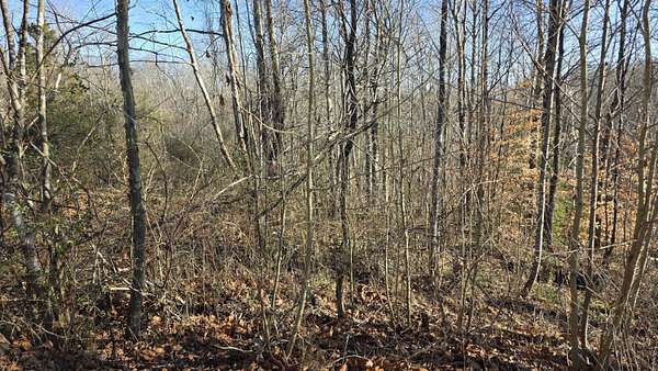 3.27 Acres of Recreational Land for Sale in Revelo, Kentucky