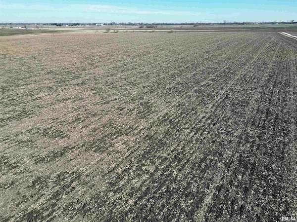 65.5 Acres of Agricultural Land for Sale in Decatur, Illinois