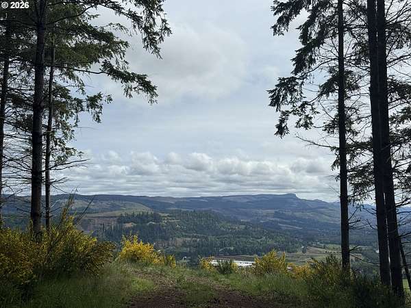265 Acres of Land for Sale in Stayton, Oregon