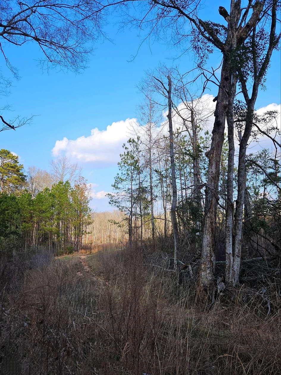 117 Acres of Land for Sale in Collins, Mississippi