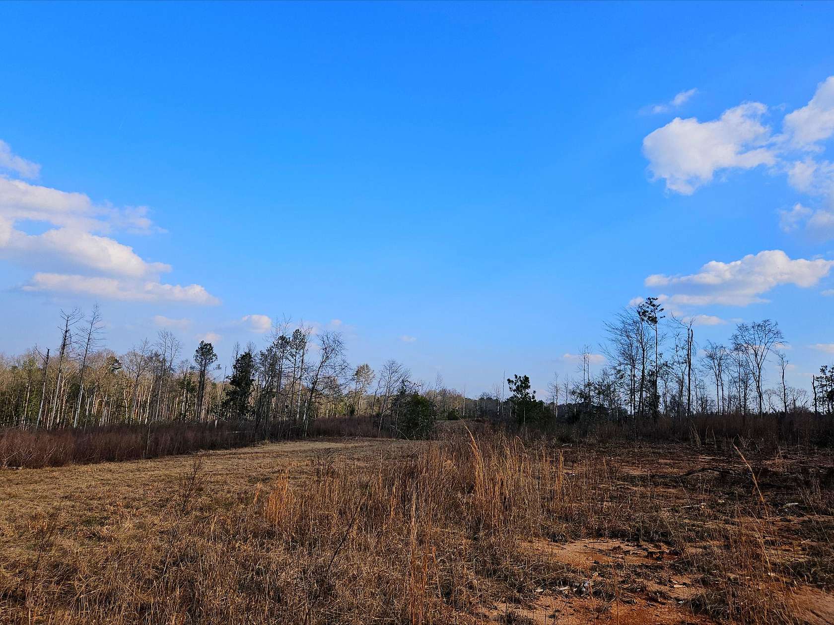 117 Acres of Land for Sale in Collins, Mississippi