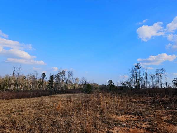 117 Acres of Land for Sale in Collins, Mississippi