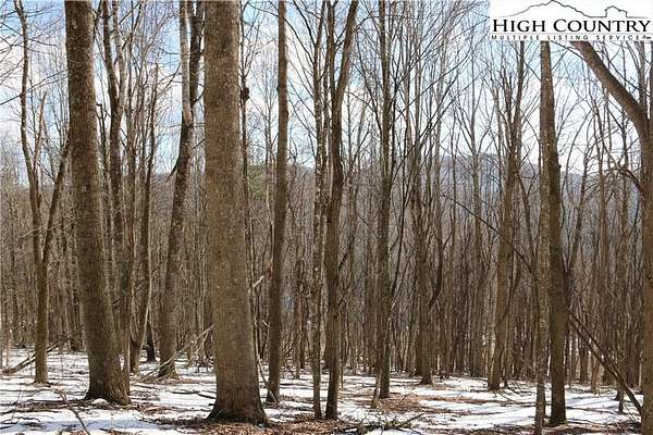54.5 Acres of Recreational & Residential Land for Sale in Todd, North Carolina