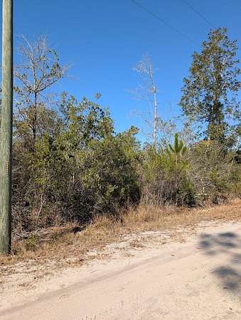 10 Acres of Residential Land for Sale in Carrabelle, Florida