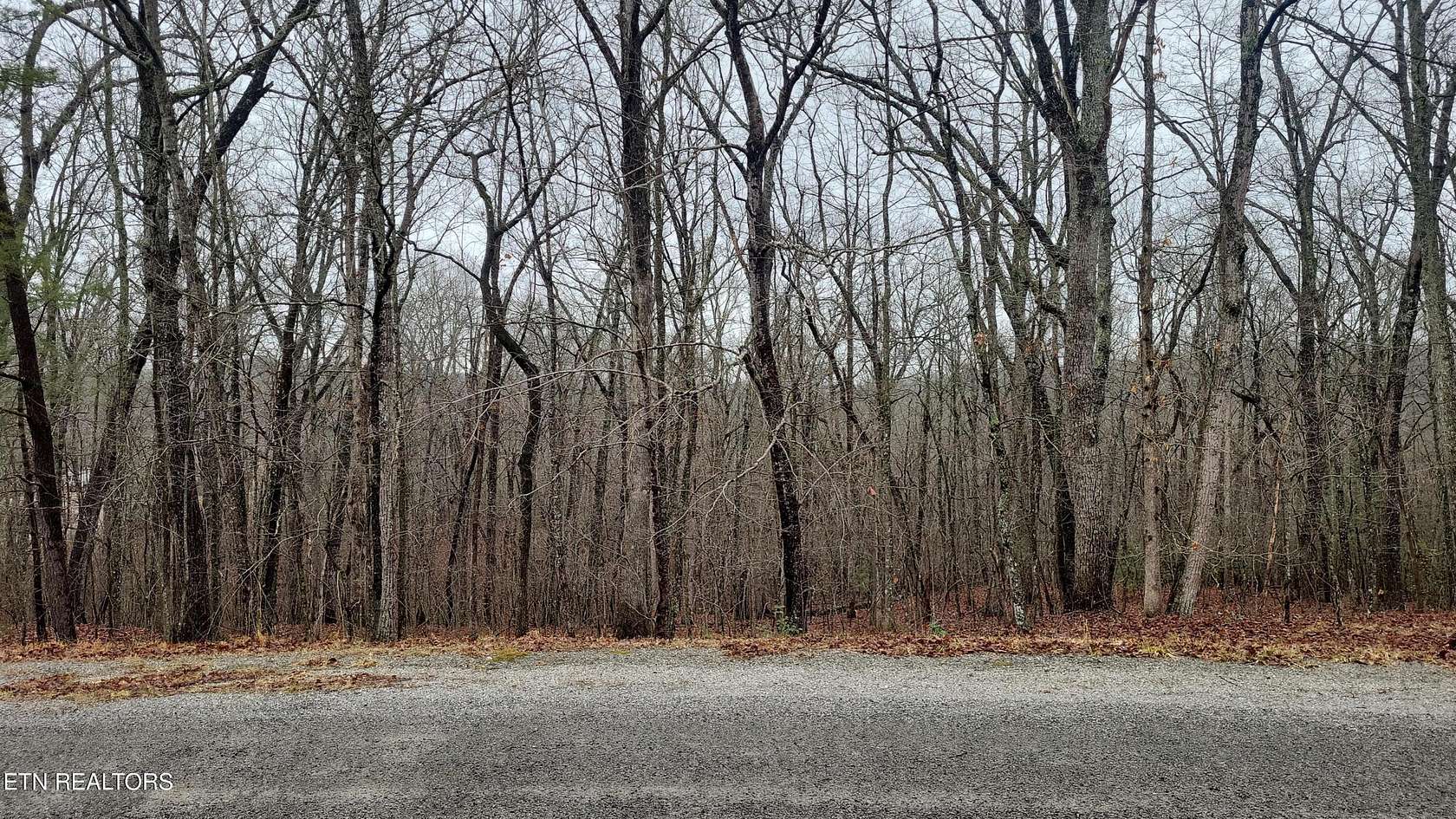 0.23 Acres of Land for Sale in Crossville, Tennessee