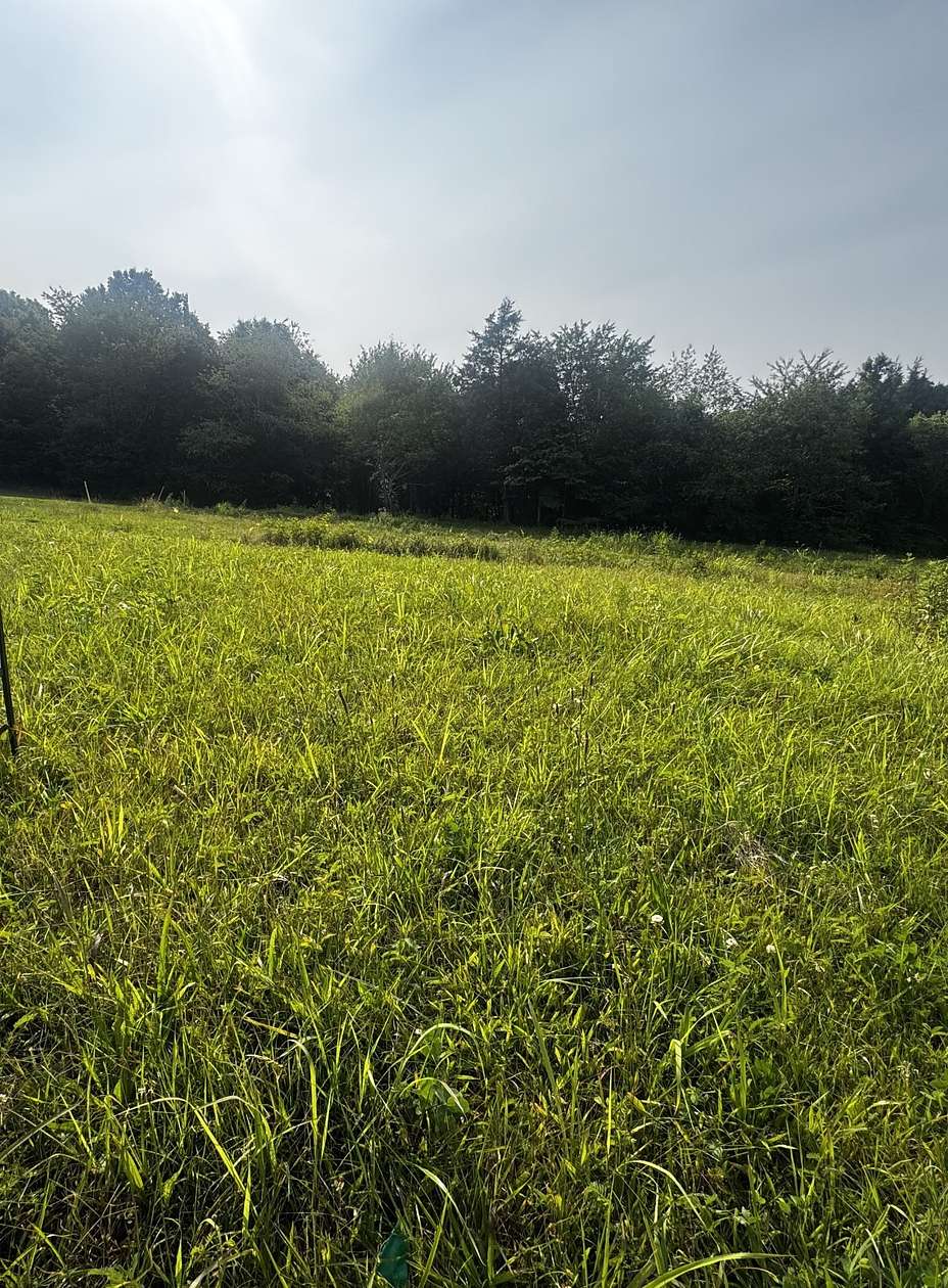 5.25 Acres of Residential Land for Sale in Greenbrier, Tennessee