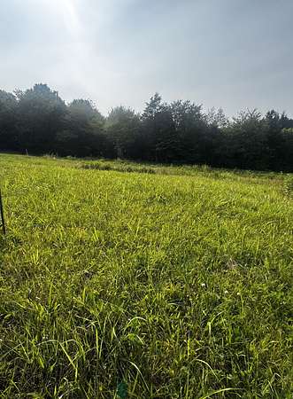 5.25 Acres of Residential Land for Sale in Greenbrier, Tennessee