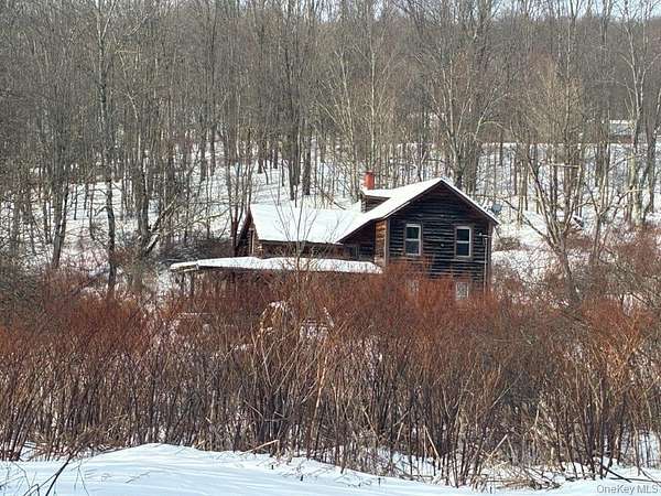 6.58 Acres of Residential Land with Home for Sale in Long Eddy, New York