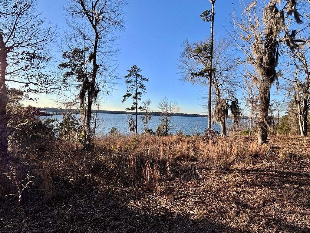 0.41 Acres of Residential Land for Sale in Georgetown, Alabama