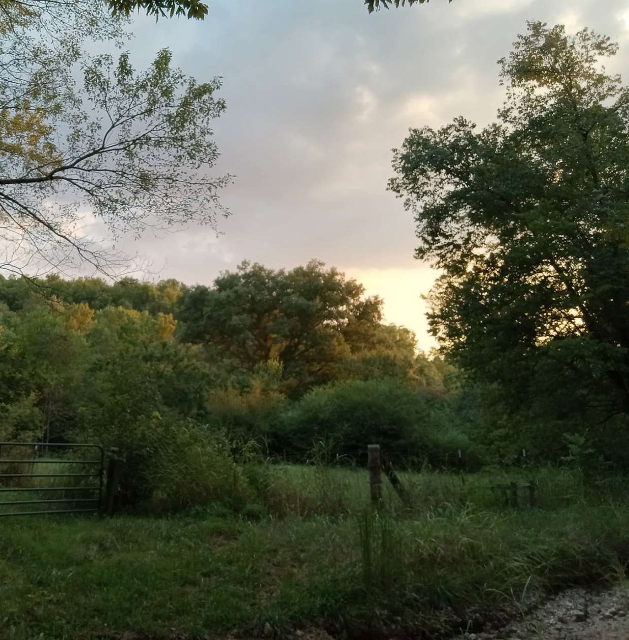 2 Acres of Residential Land for Sale in Anderson, Missouri