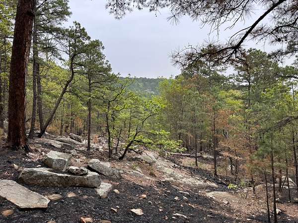 5 Acres of Residential Land for Sale in Moyers, Oklahoma