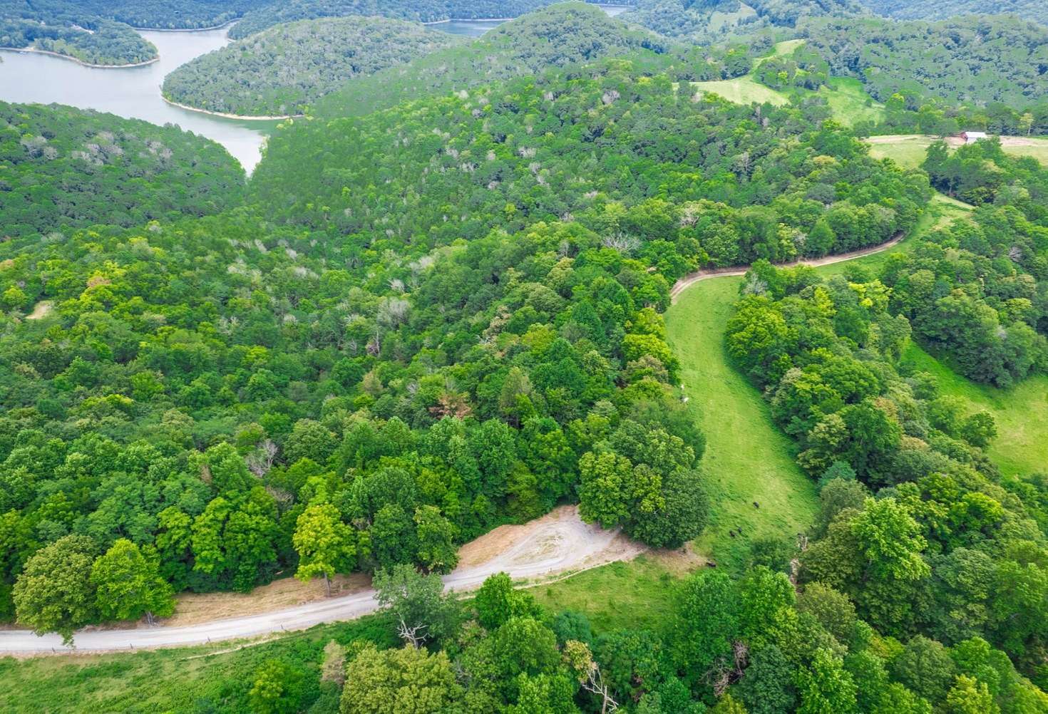 88 Acres of Agricultural Land for Sale in Smithville, Tennessee