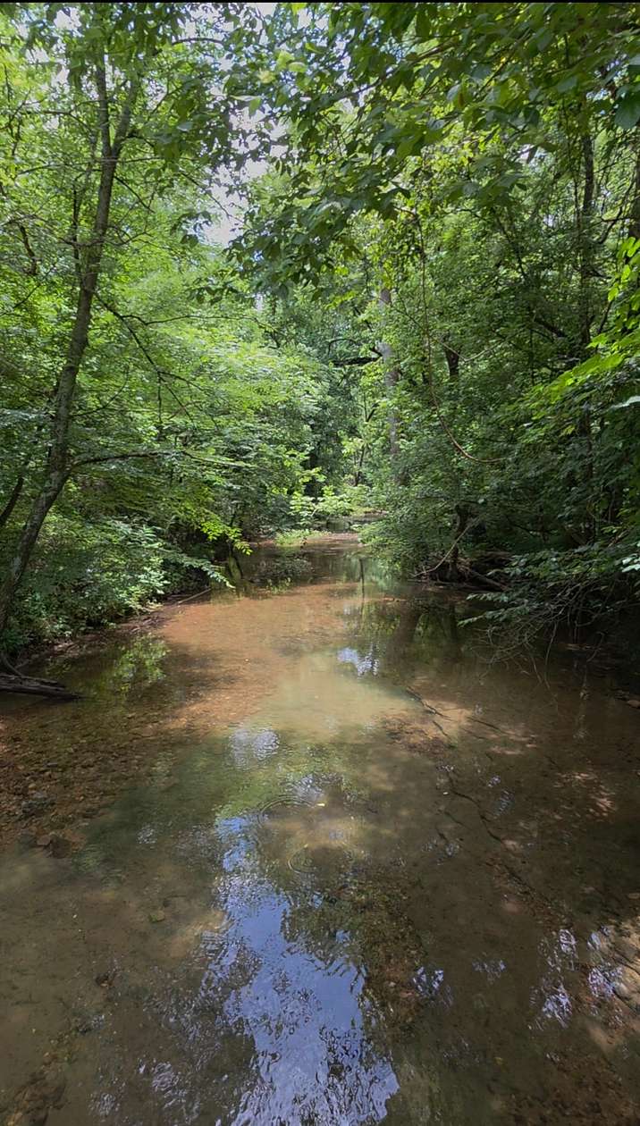 23 Acres of Land for Sale in Ethridge, Tennessee