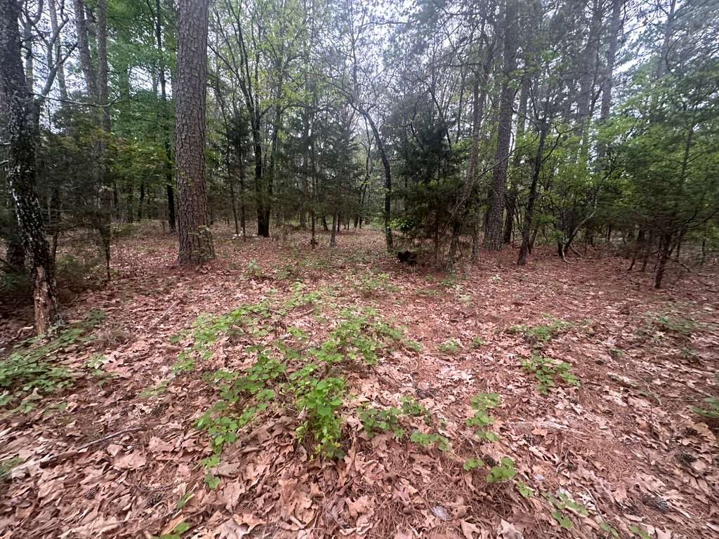 5 Acres of Residential Land for Sale in Moyers, Oklahoma