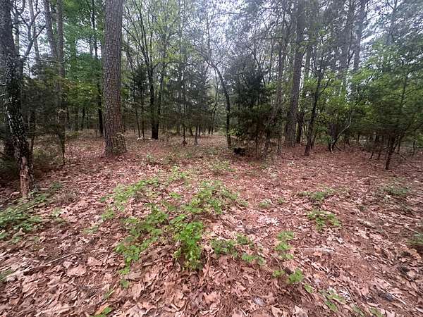 5 Acres of Residential Land for Sale in Moyers, Oklahoma