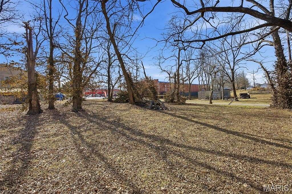 Land for Sale in Trenton, Illinois