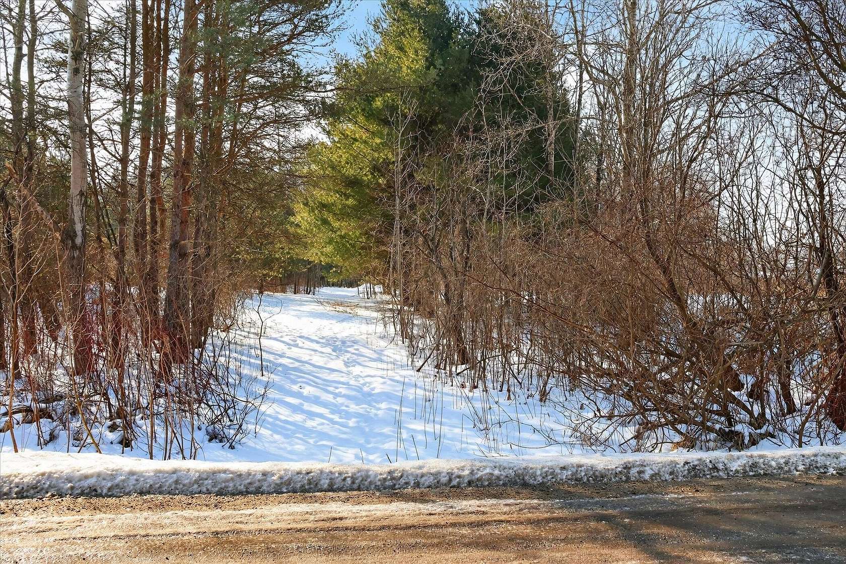 6.7 Acres of Residential Land for Sale in Cedar Springs, Michigan