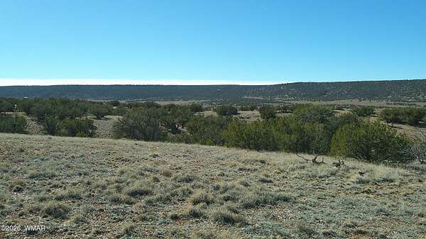 40.3 Acres of Land for Sale in Snowflake, Arizona