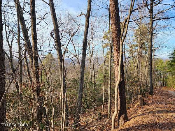 1.34 Acres of Land for Sale in Sevierville, Tennessee