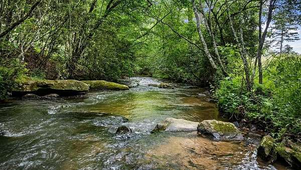15.3 Acres of Improved Land for Sale in Mineral Bluff, Georgia