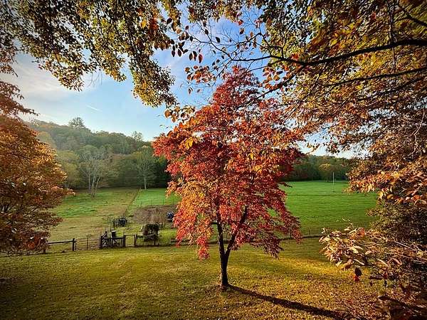 15.3 Acres of Improved Land for Sale in Mineral Bluff, Georgia