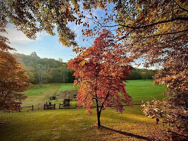 15.3 Acres of Improved Land for Sale in Mineral Bluff, Georgia