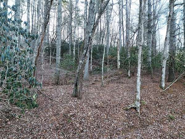 1.25 Acres of Residential Land for Sale in Blairsville, Georgia