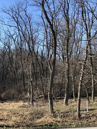 1 Acre of Residential Land for Sale in Homer Glen, Illinois