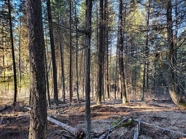 40 Acres of Recreational Land for Sale in Curlew, Washington