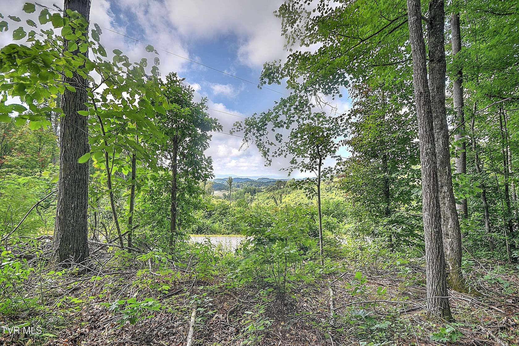 1.5 Acres of Residential Land for Sale in Church Hill, Tennessee