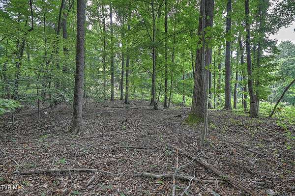 1.5 Acres of Residential Land for Sale in Church Hill, Tennessee