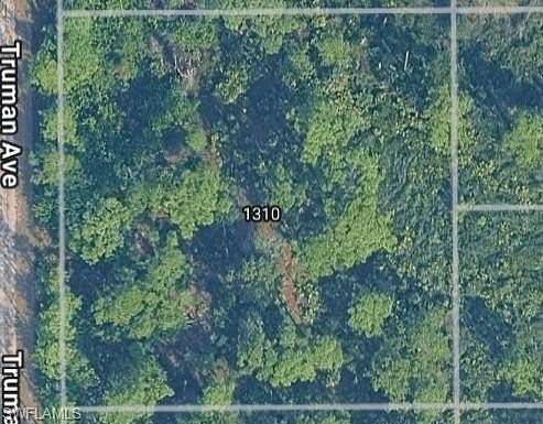 1 Acre of Residential Land for Sale in Lehigh Acres, Florida