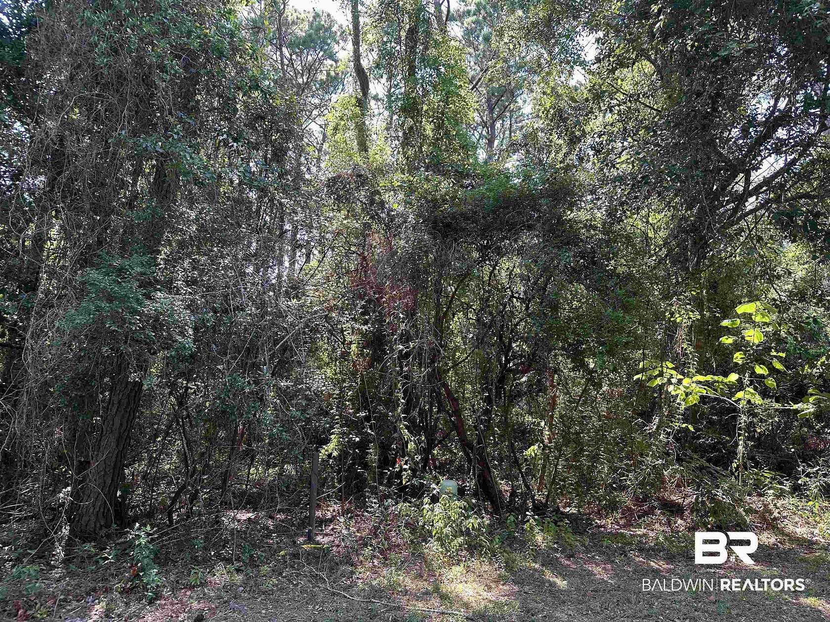 0.35 Acres of Residential Land for Sale in Fairhope, Alabama