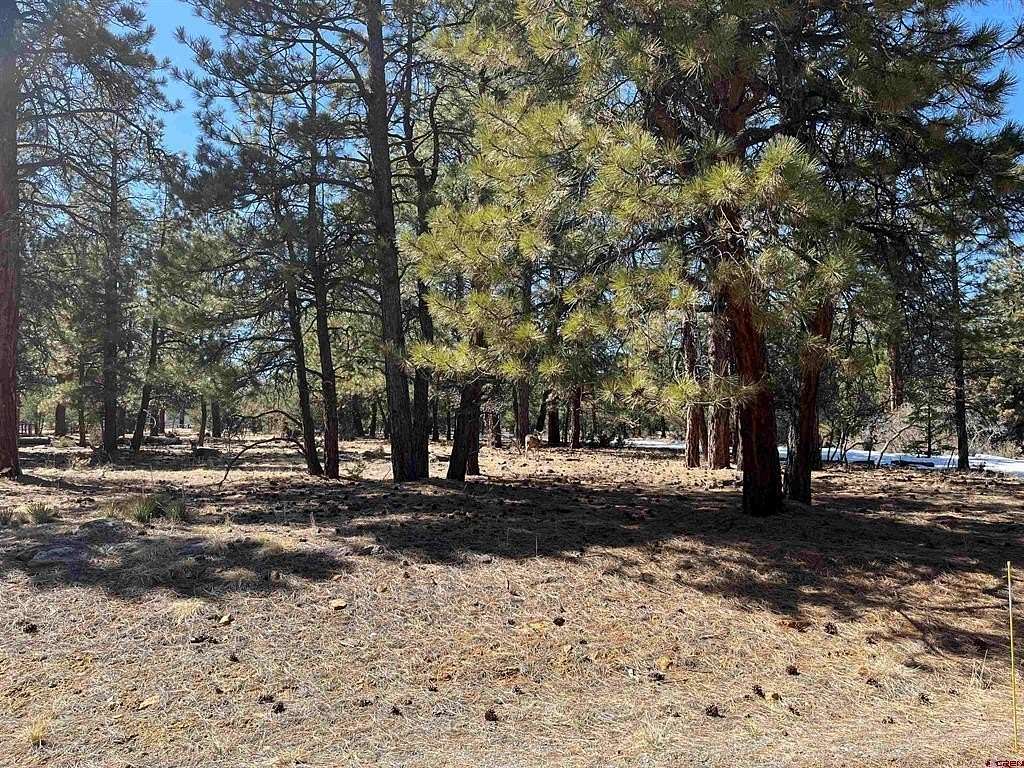 1 Acre of Residential Land for Sale in Ridgway, Colorado