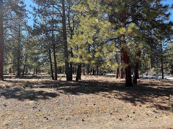 1 Acre of Land for Sale in Ridgway, Colorado