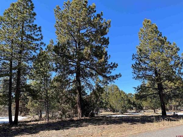 0.94 Acres of Land for Sale in Ridgway, Colorado