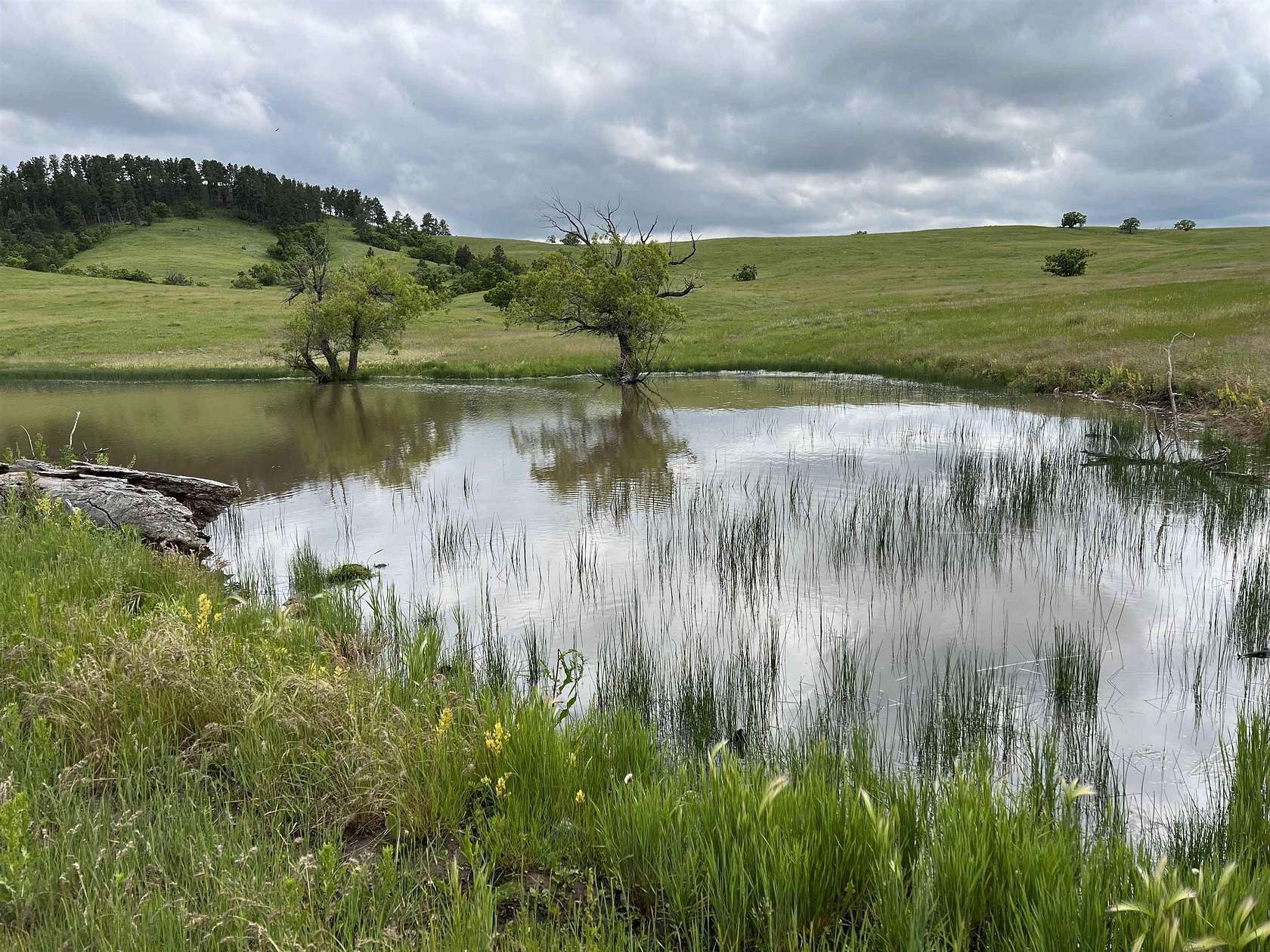 40 Acres of Recreational & Residential Land for Sale in Whitewood, South Dakota