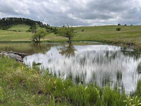 40 Acres of Recreational & Residential Land for Sale in Whitewood, South Dakota