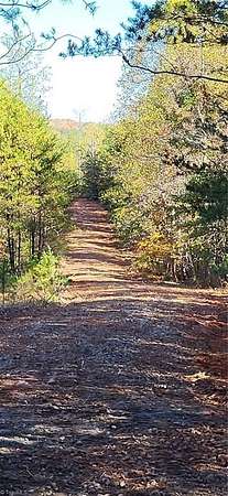 40 Acres of Recreational & Residential Land for Sale in Stoneville, North Carolina