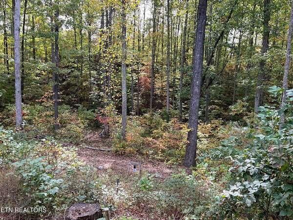 4.8 Acres of Residential Land for Sale in Crawford, Tennessee