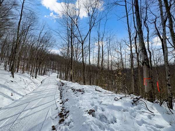41.1 Acres of Recreational Land for Sale in Coxs Mills, West Virginia