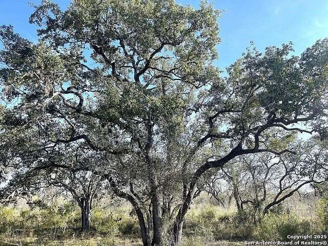79 Acres of Land with Home for Sale in Beeville, Texas