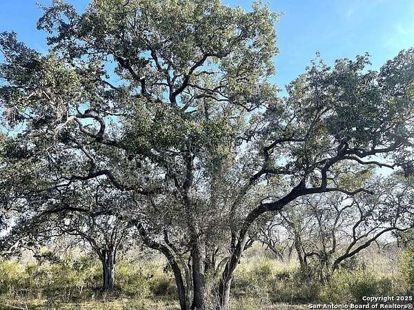 79 Acres of Land with Home for Sale in Beeville, Texas