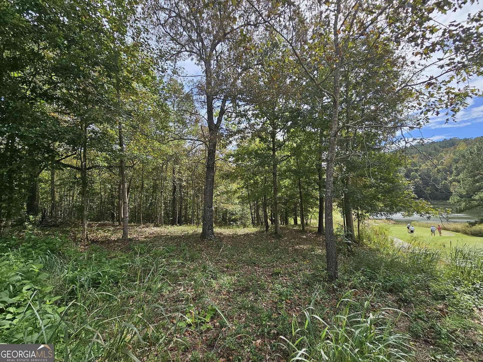 0.75 Acres of Residential Land for Sale in Toccoa, Georgia