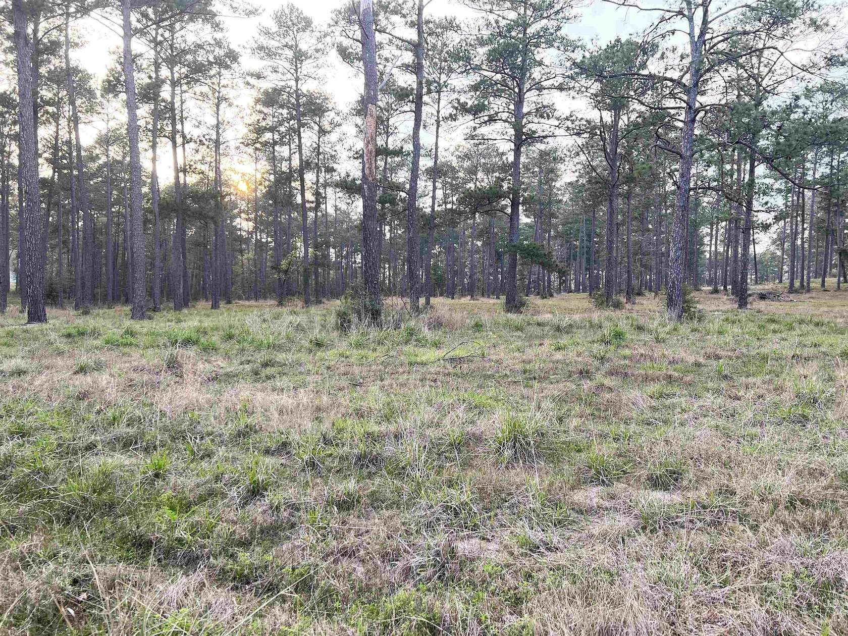 1 Acre of Residential Land for Sale in Brookeland, Texas