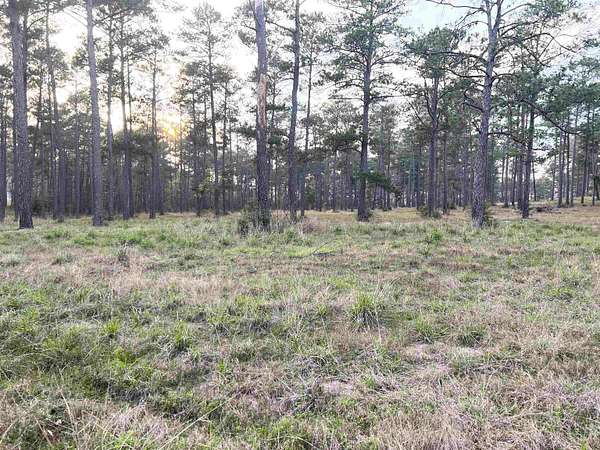 1 Acre of Residential Land for Sale in Brookeland, Texas